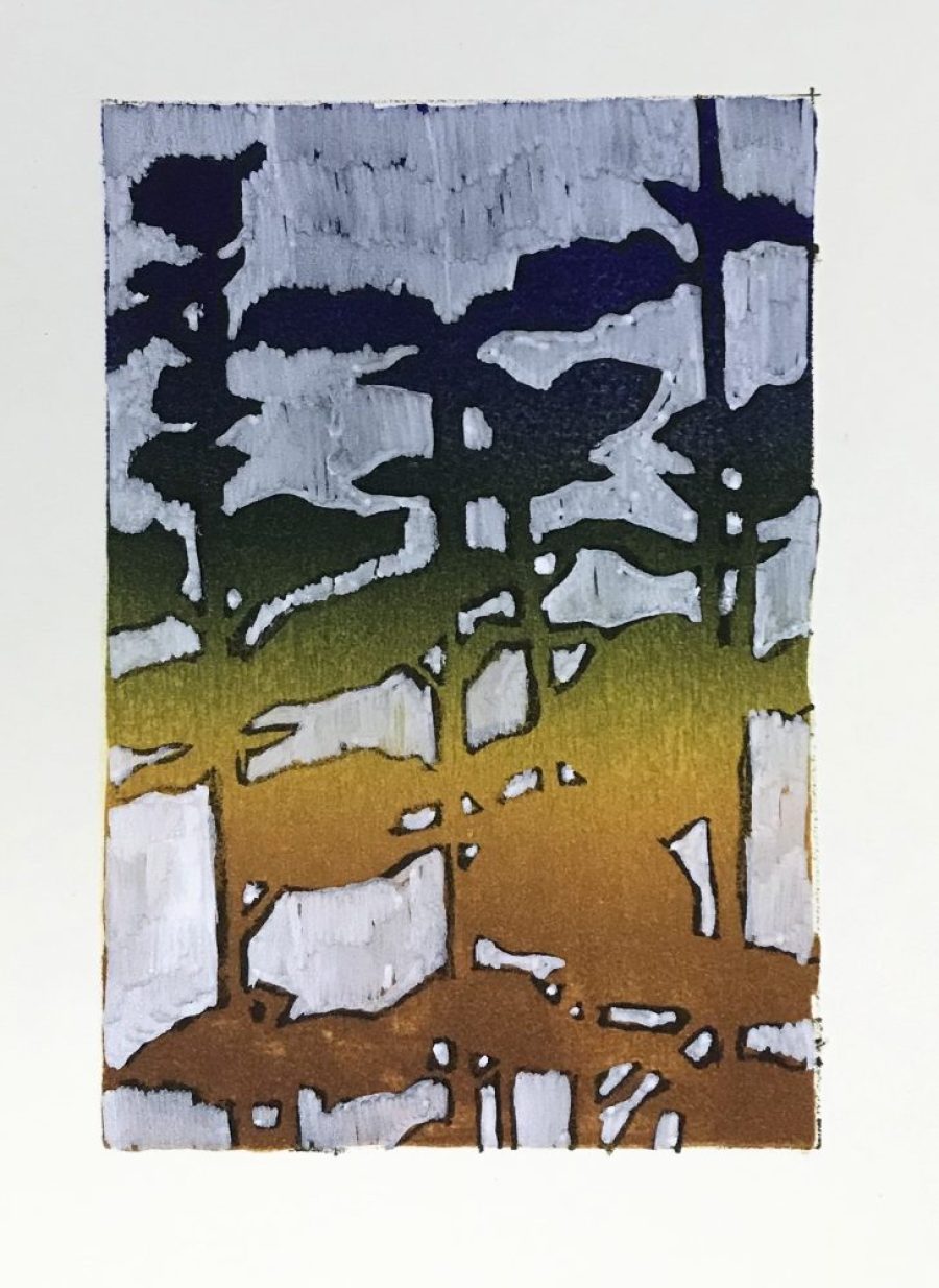 unique    |     9 x 14 cm    |     irisprint and paint