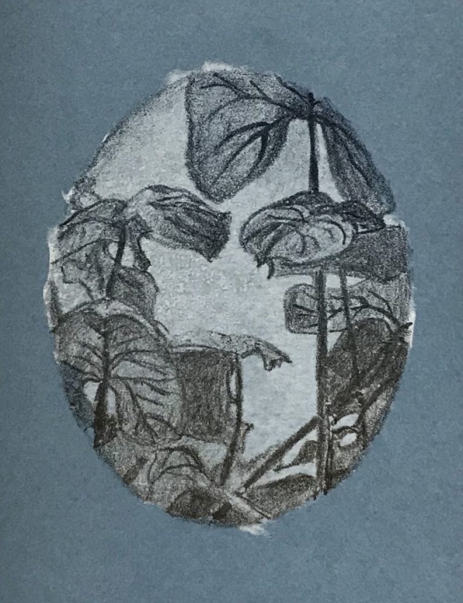chine collé - unique    |      8 x 10 cm   |     irisprint 