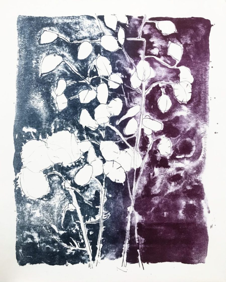 unique    |      50 x 40 cm   |     irisprint 
