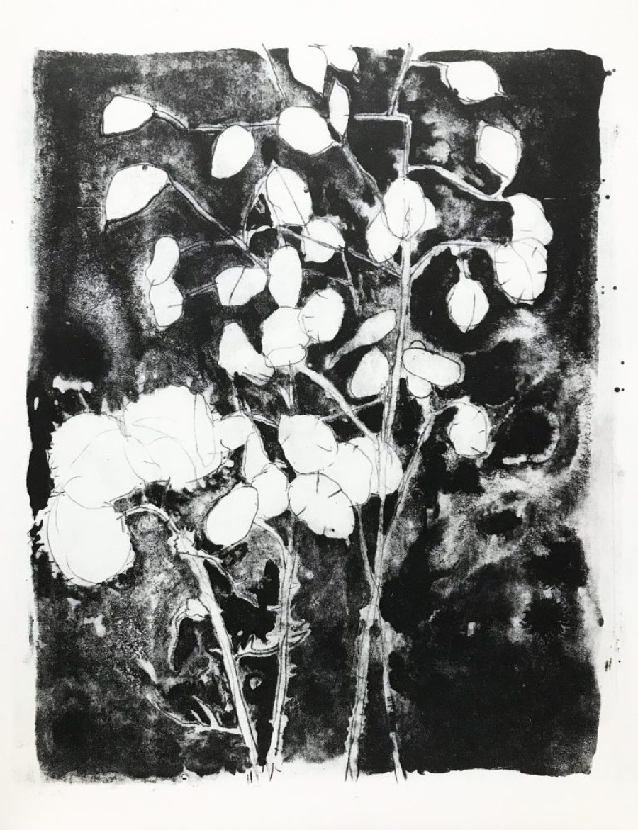 unique    |      50 x 40 cm