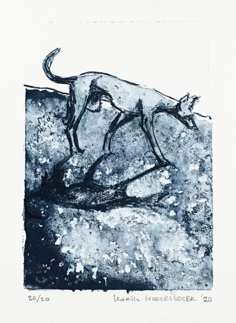 Edition of 20    |     9 x 14 cm