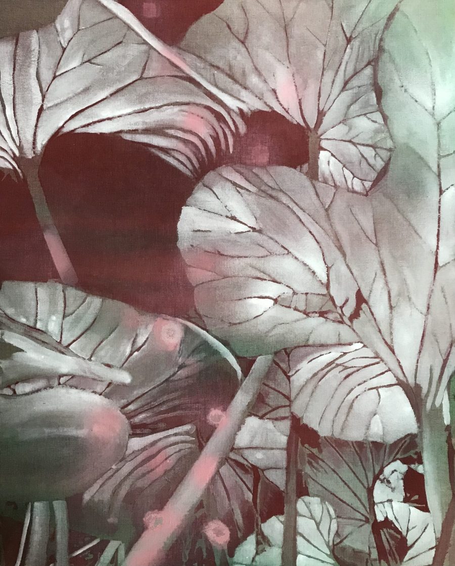 CN38     |     100 x 80 CM     |     available at Kunstuitleen Voorburg