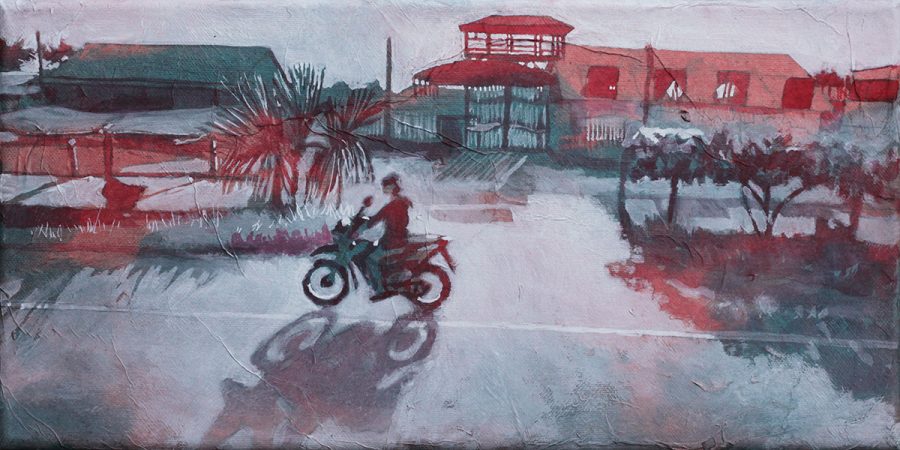 Interoceanica Sur #2     |     20 x 40 cm    |     available 