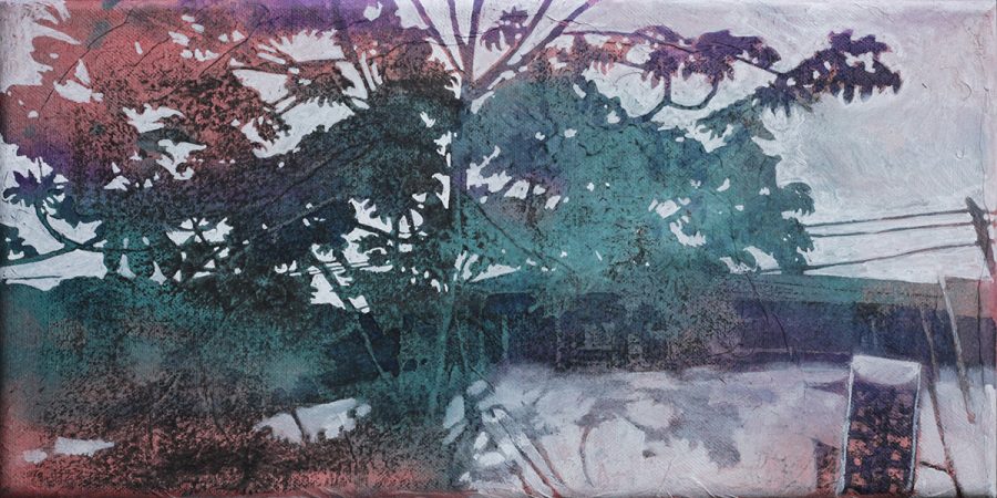 Interoceanica Sur #4     |     20 x 40 cm    |     available 