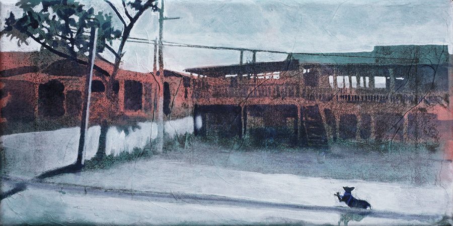 Interoceanica Sur #6     |     20 x 40 cm    |     available