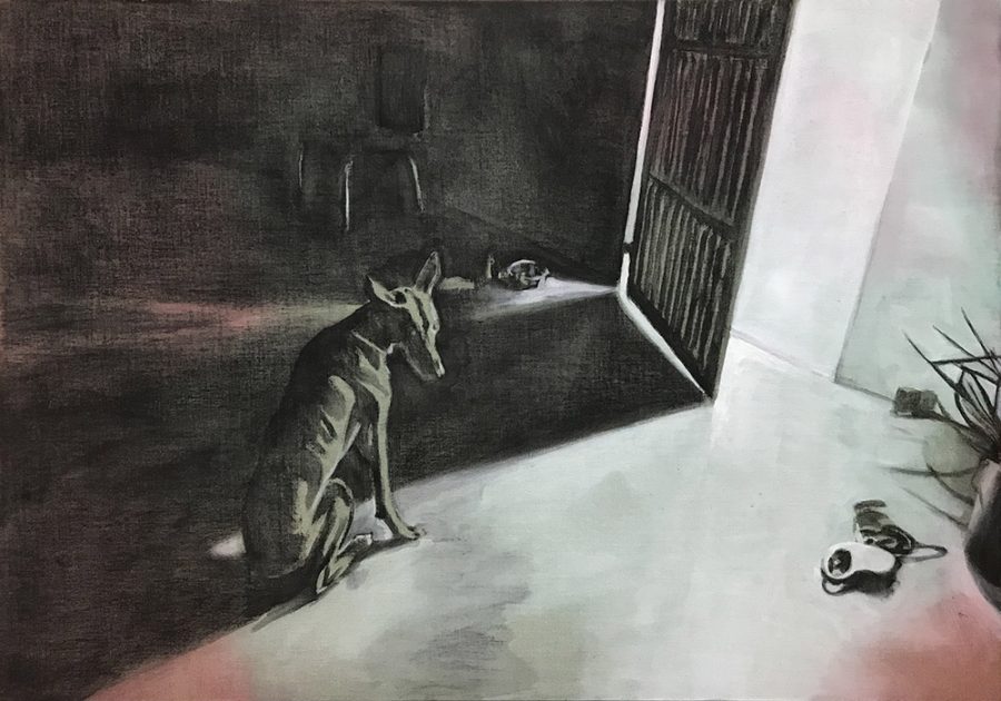 Cuando Comienza el Dia #3     |    70 x 100 cm    |   available 