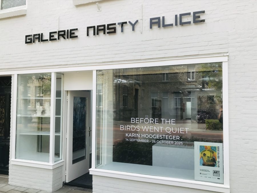 BEFORE THE BIRDS WENT QUIET - a solo exhbititiion at Gallery Nasty Alice - 2025